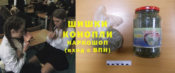PSILOCYBIN Алзамай