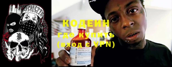 PSILOCYBIN Алзамай