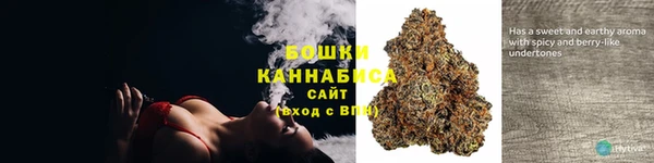 PSILOCYBIN Алзамай