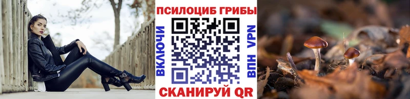 Псилоцибиновые грибы Psilocybine cubensis  Алушта 