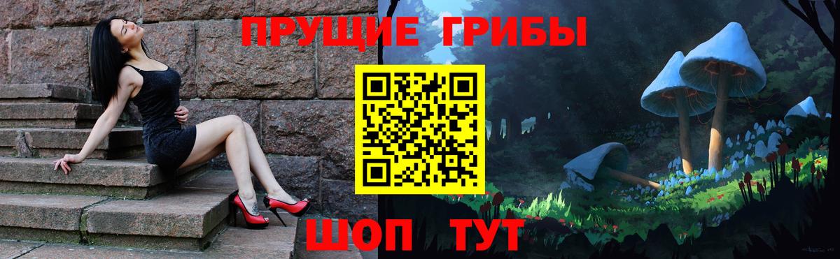 Псилоцибиновые грибы Psilocybine cubensis Алушта