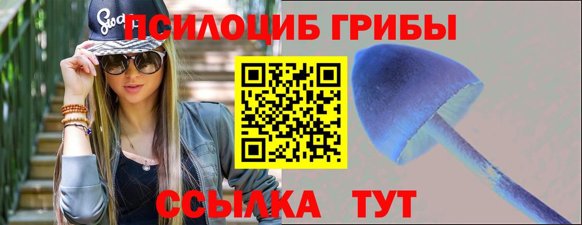 Псилоцибиновые грибы Cubensis  Вход с VPN  Алушта 