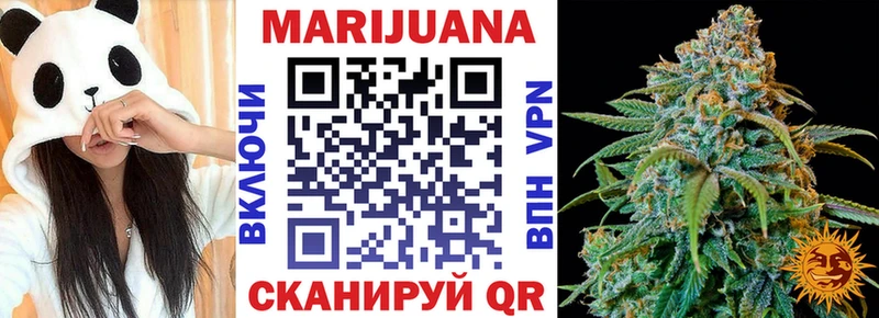 Конопля гибрид  где купить   Алушта 